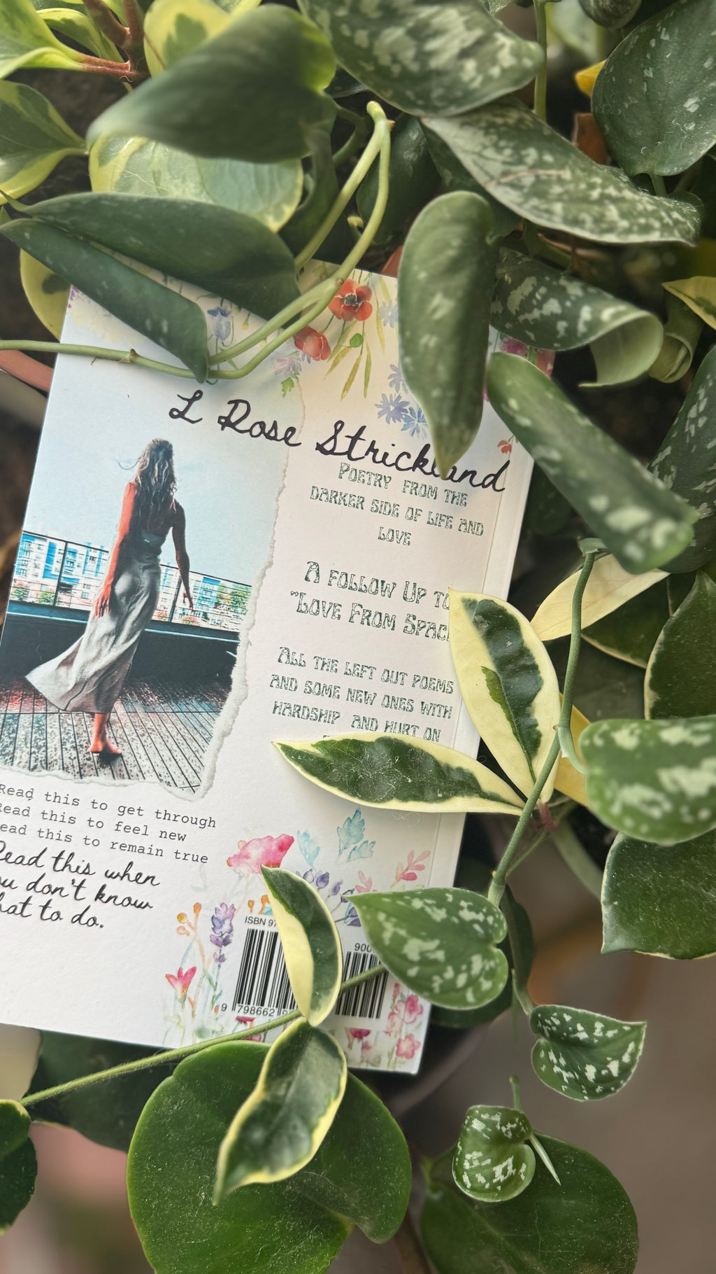 Poems on Love & other things (Paperback)