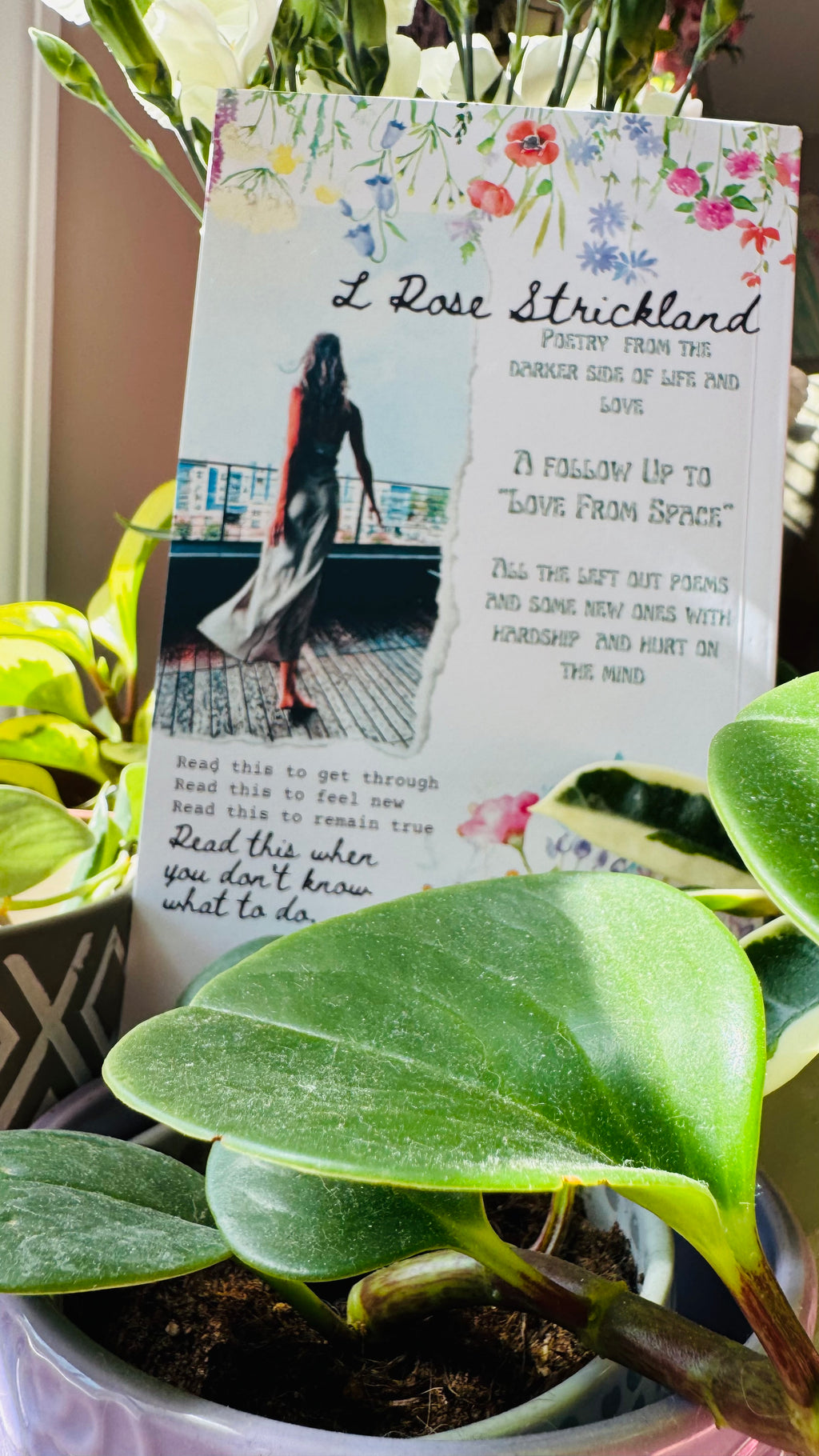 Poems on Love & other things (Paperback)